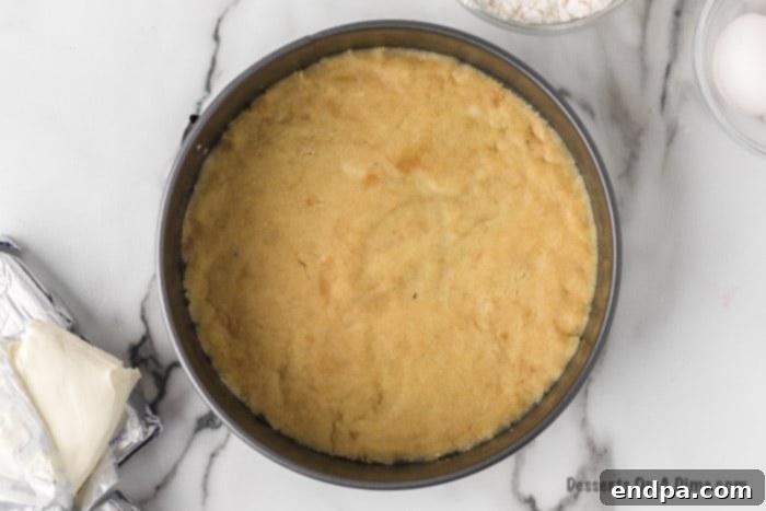 Prepared keto crust pressed firmly into the bottom of a springform pan.