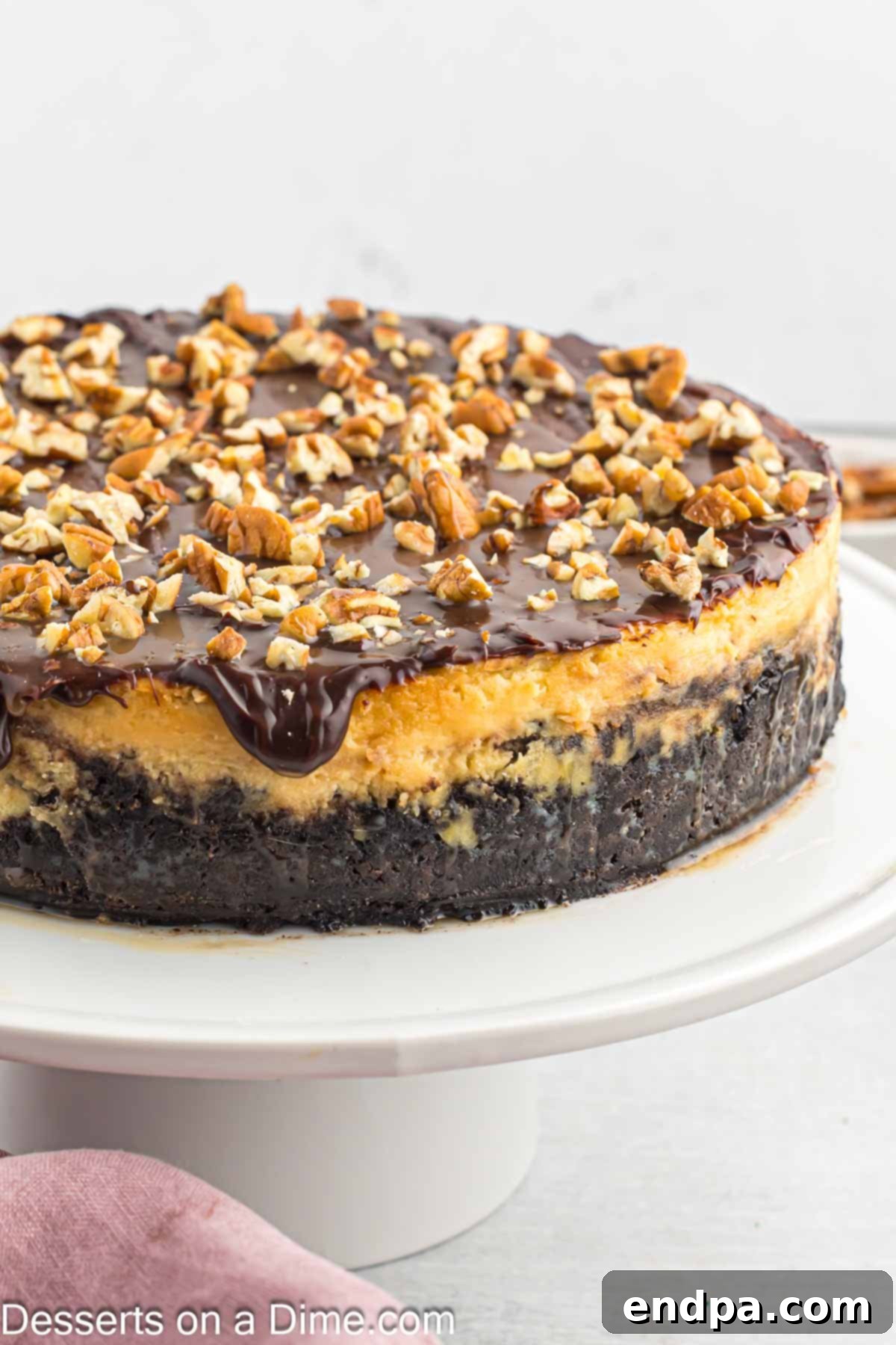A stunning Turtle Cheesecake displayed prominently on a dessert pedestal.