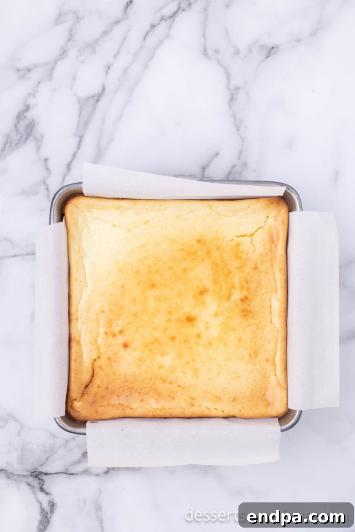 Creamy Cheesecake Delights 9 Baked cheesecake cooling on a wire rack after being removed from the oven.