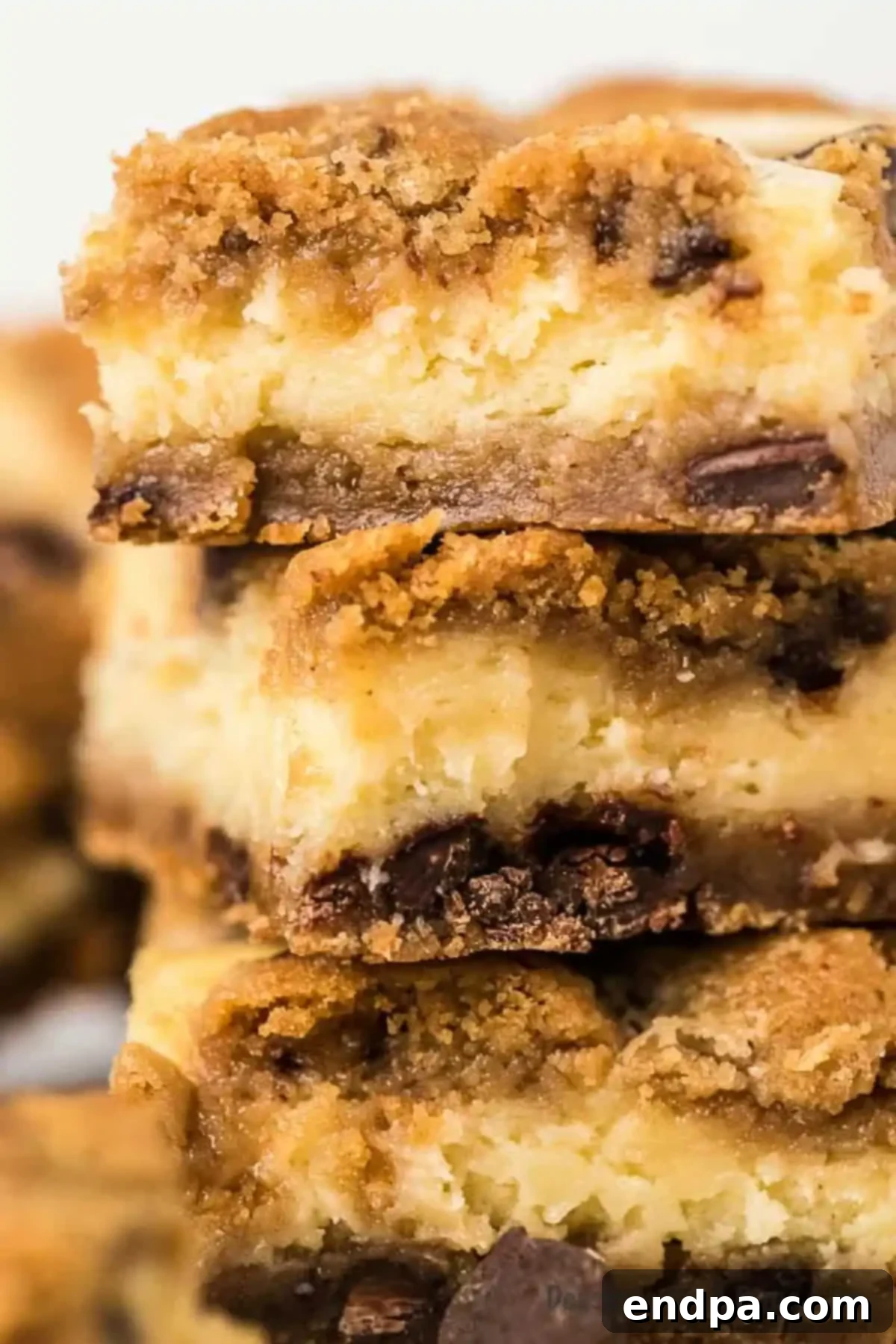 Delicious Chocolate Chip Cheesecake Bars, perfectly cut and ready to serve.