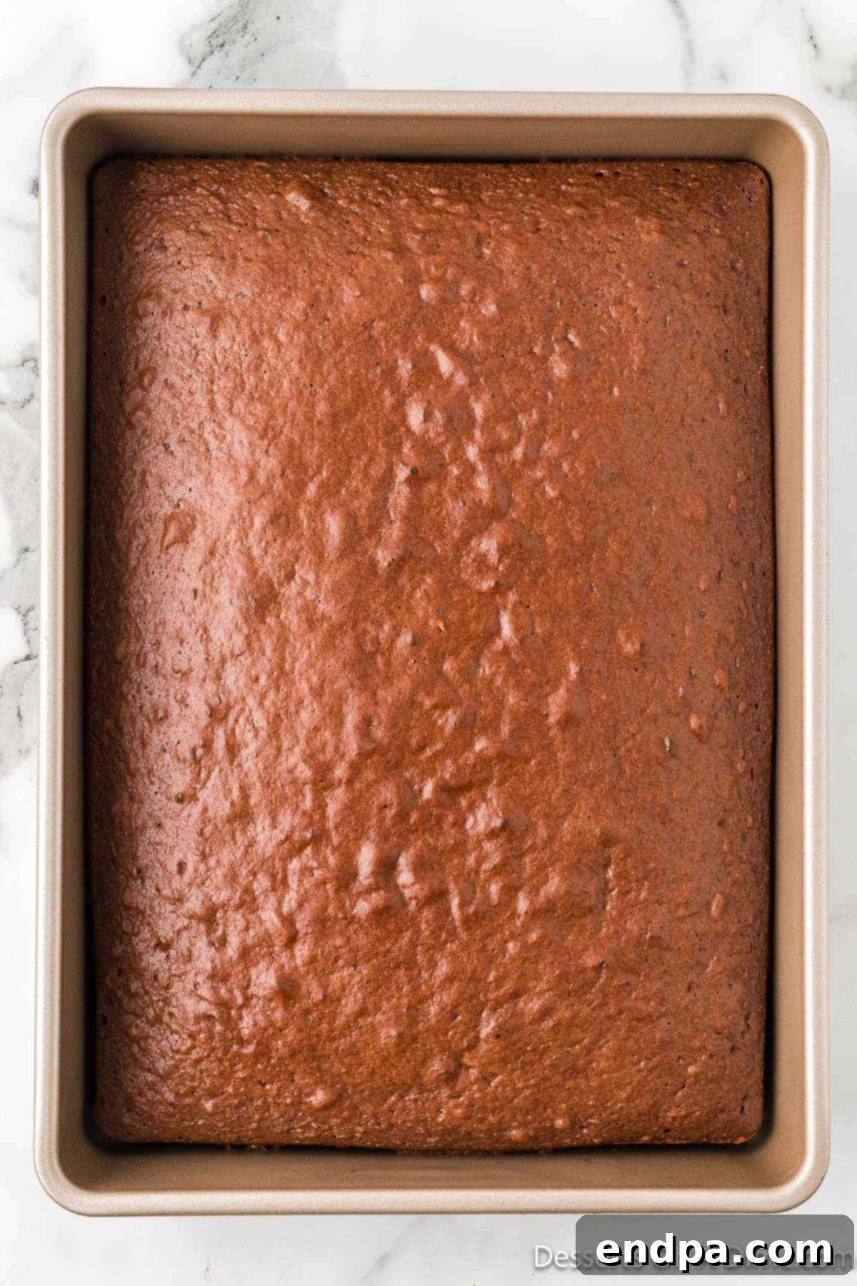 Decadent Layered Chocolate Trifle 6 Cake baked and cooled.