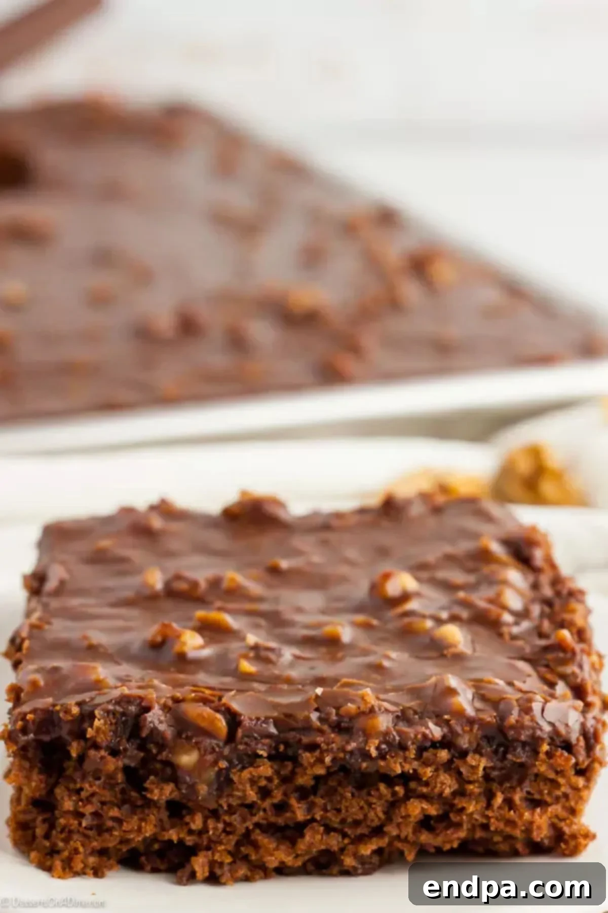 Indulge in a slice of this easy and delicious Texas Sheet Cake, featuring a moist chocolate base and rich, warm frosting. Close up image of a slice of Texas Sheet Cake on a white plate, showcasing its moist texture and rich chocolate frosting.