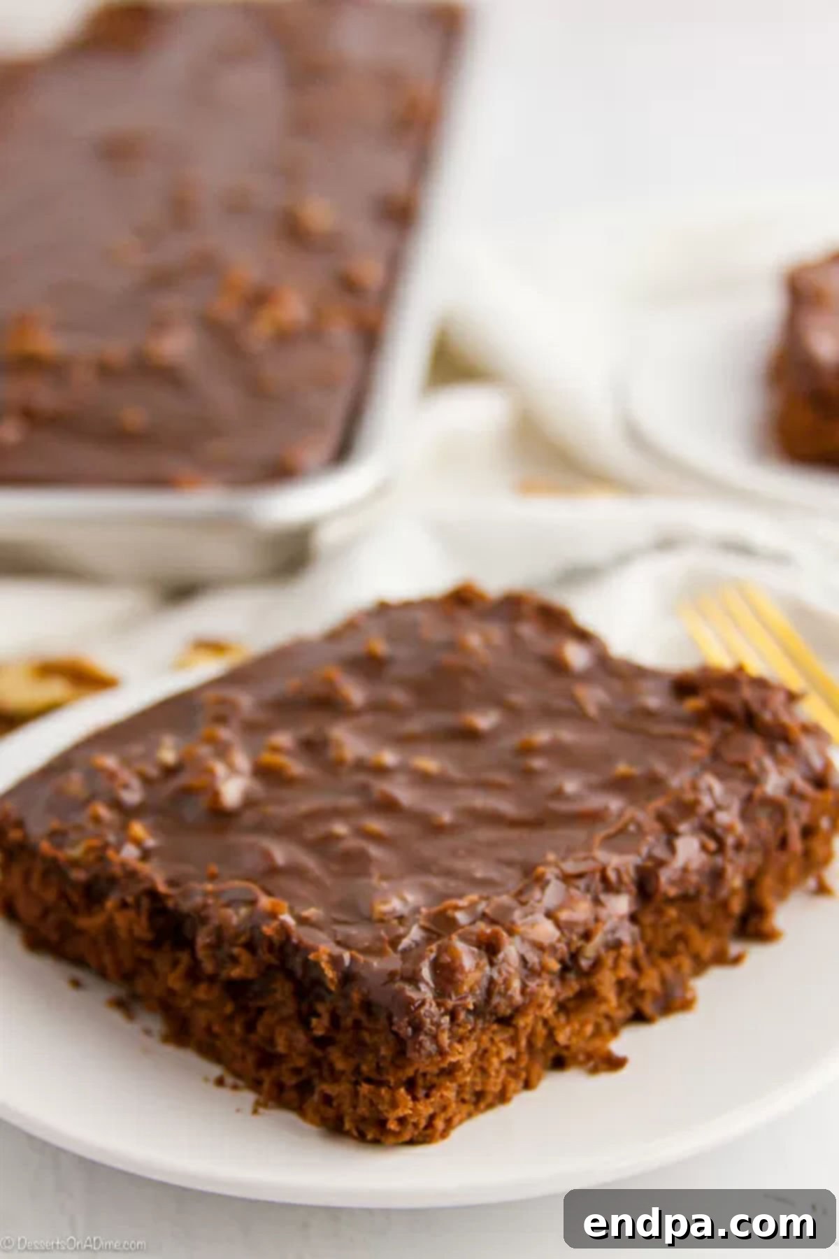 A perfect slice of Texas Sheet Cake, a simple yet incredibly satisfying chocolate dessert. Another close-up of a slice of Texas Sheet Cake on a white plate, highlighting its indulgent layers.