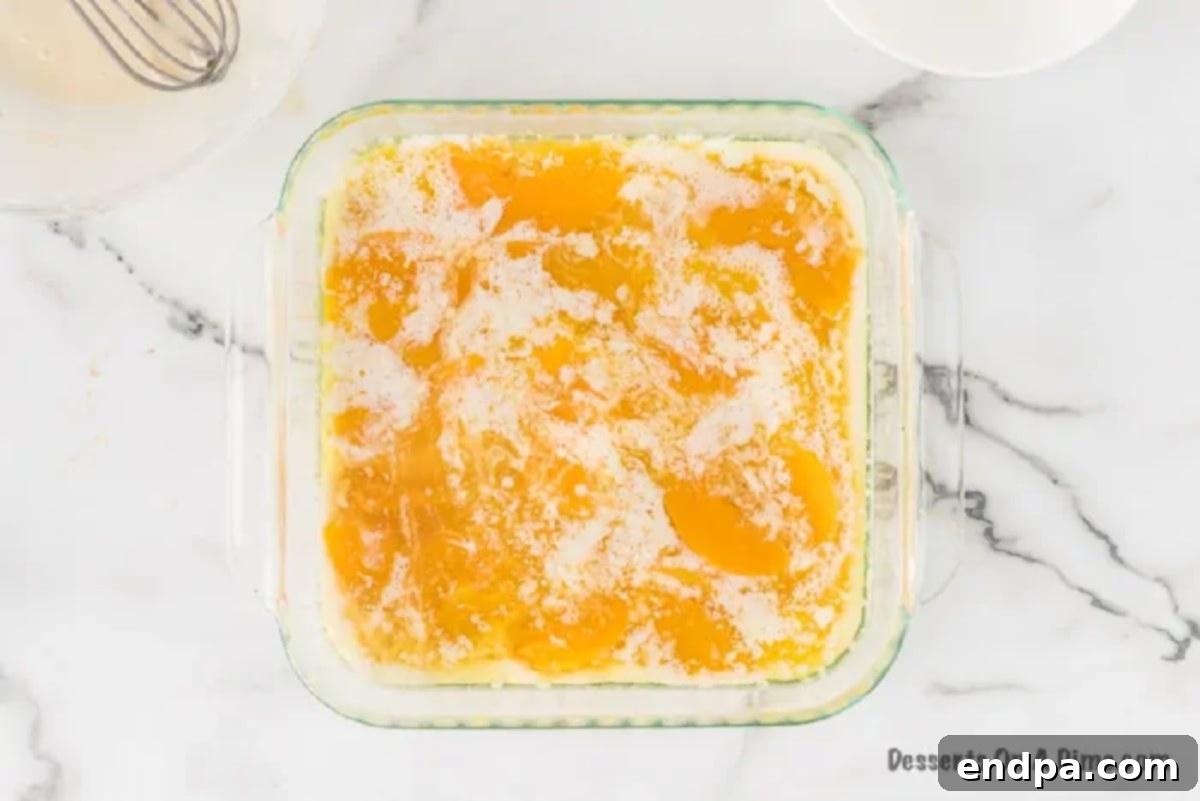 Sliced peaches, complete with their juice, being poured evenly over the cobbler batter in the baking pan.