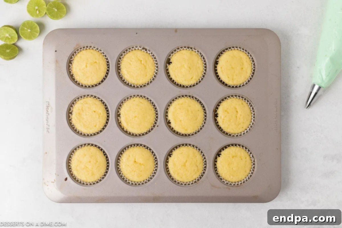 Freshly baked cupcakes cooling in a muffin pan, golden brown and perfectly risen.