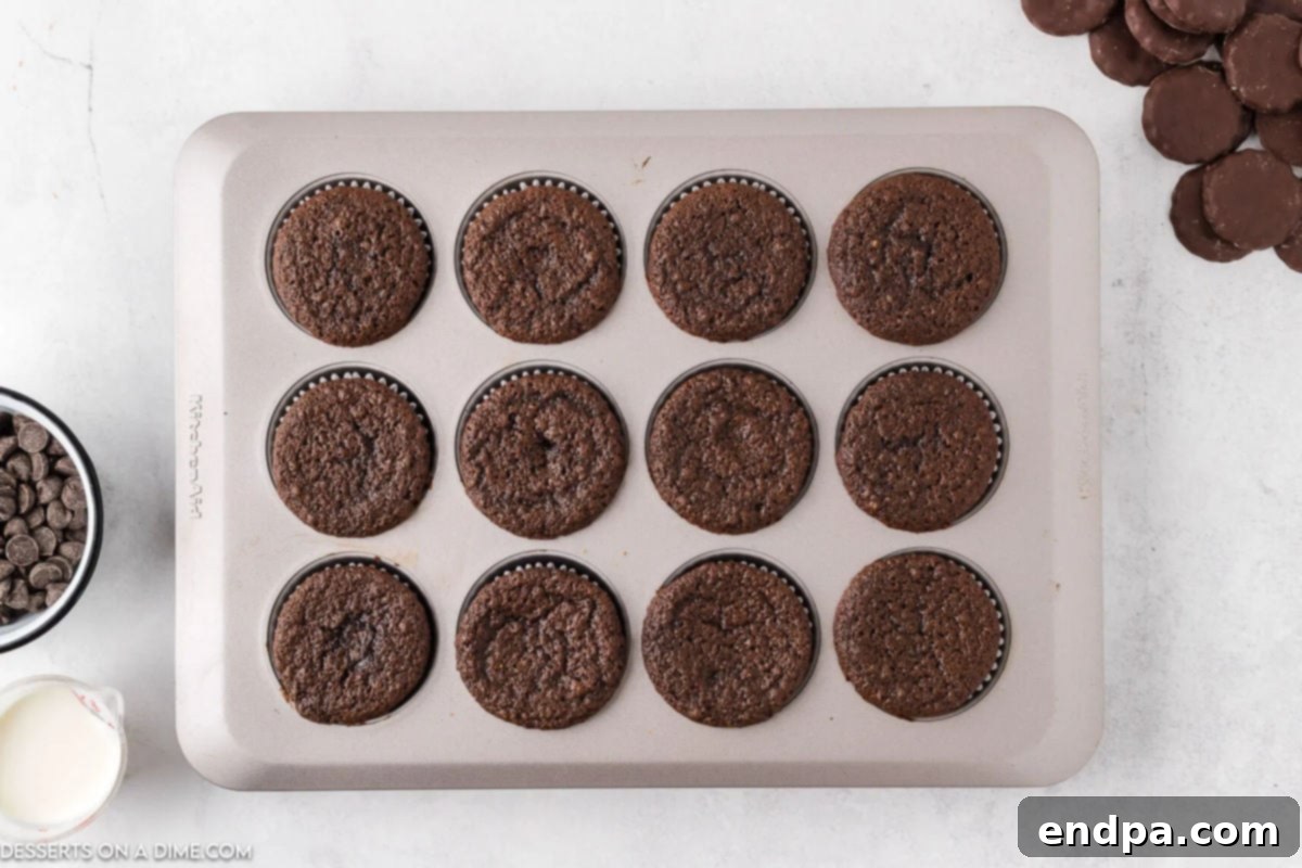 Freshly baked chocolate cupcakes cooling on a wire rack after being removed from the oven.