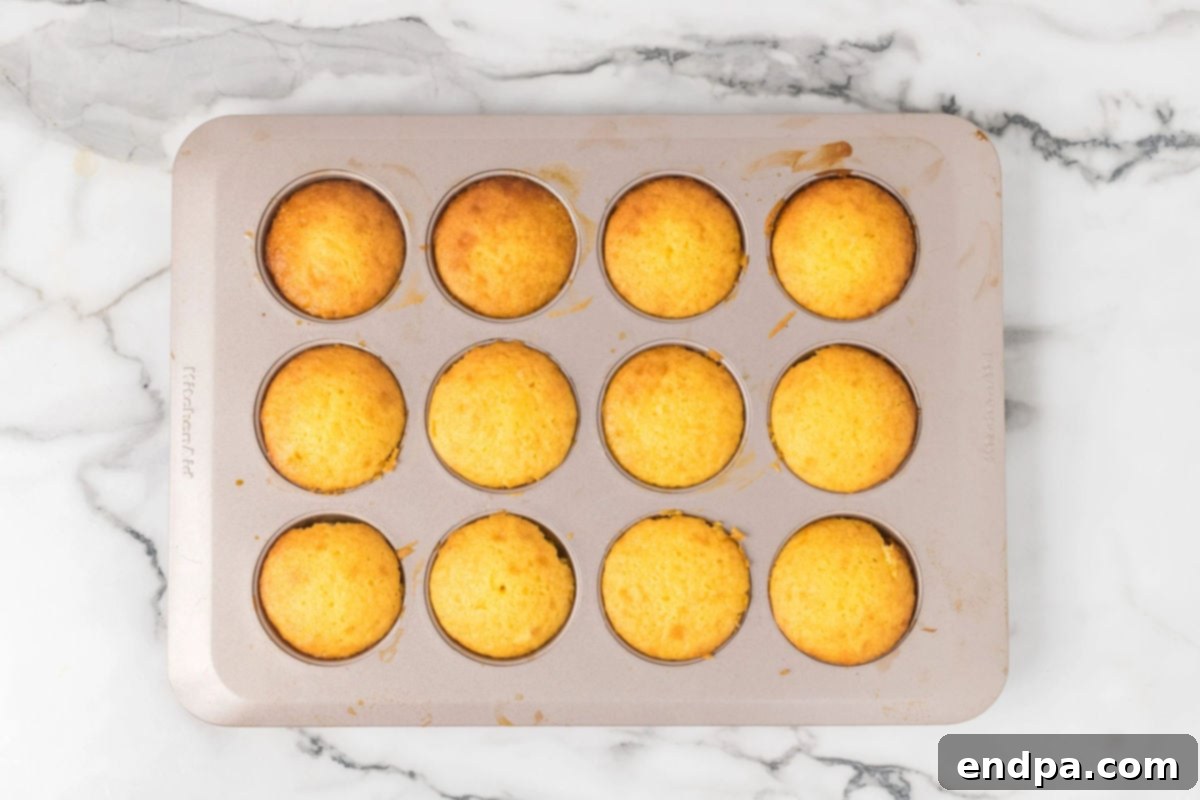 Cupcakes baked in pan.