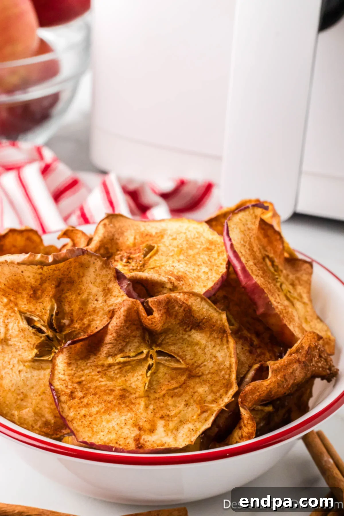 Sweet & Crispy Air Fryer Apple Chips 2 Crispy Air Fryer Apple Chips perfectly seasoned with cinnamon and sugar, arranged in an appealing bowl, ready to be enjoyed.