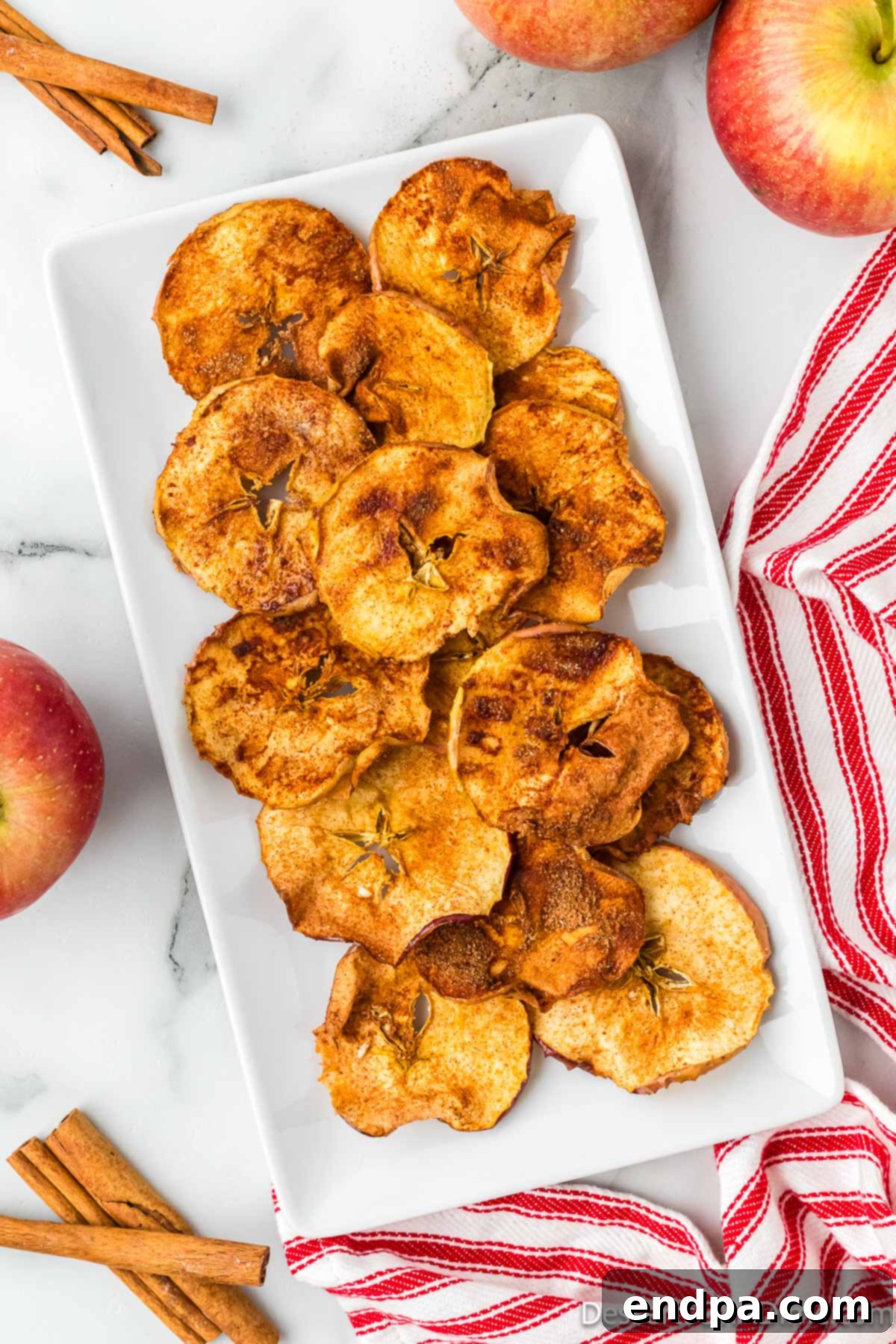 Sweet & Crispy Air Fryer Apple Chips 13 Crispy Air Fryer Apple Chips elegantly arranged on a serving tray, perfect for a healthy snack or appetizer.