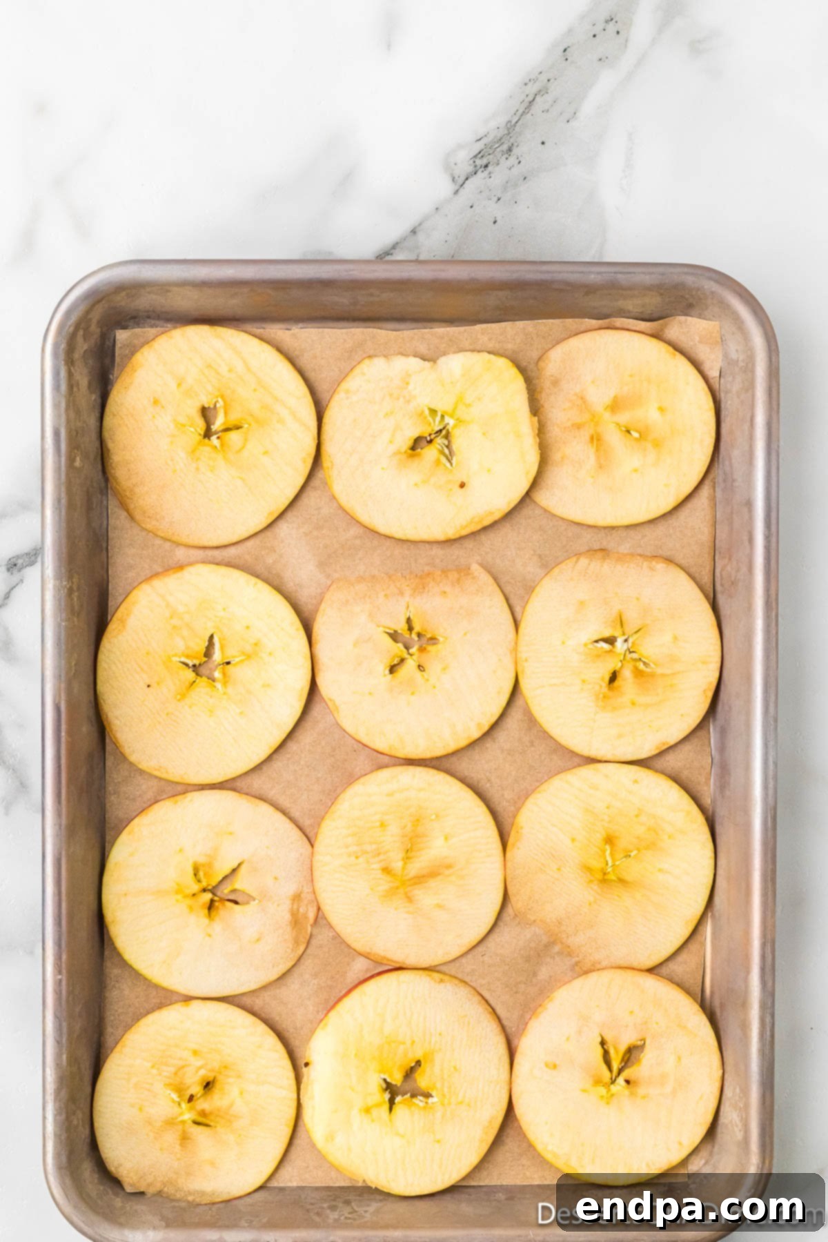 Sweet & Crispy Air Fryer Apple Chips 6 Uniform apple slices neatly spread out in a single layer on a baking sheet, ready for seasoning.