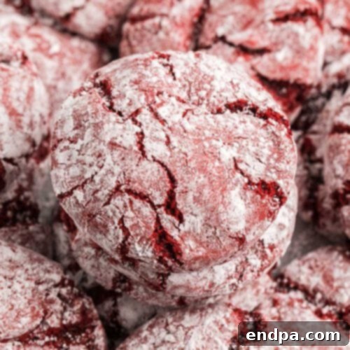 A pile of red velvet cookies with powdered sugar.