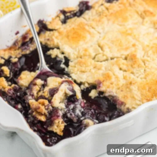 Cake Mix Magic: Effortless Dump Cake Delights 11 Blueberry Dump Cake