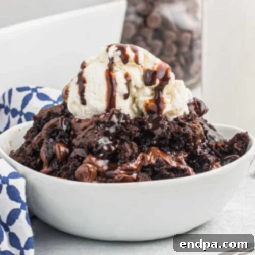 Cake Mix Magic: Effortless Dump Cake Delights 5 Chocolate Dump Cake