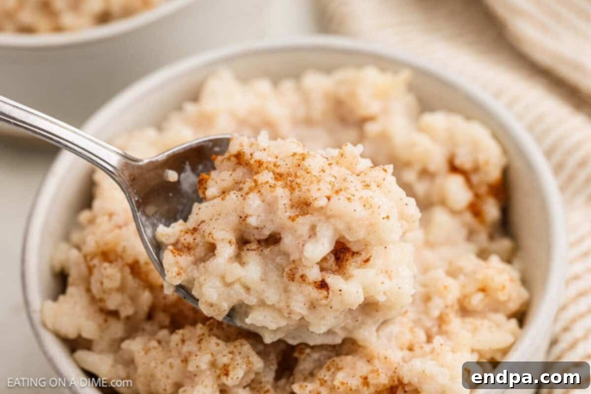 Crock Pot Rice pudding in a bowl.