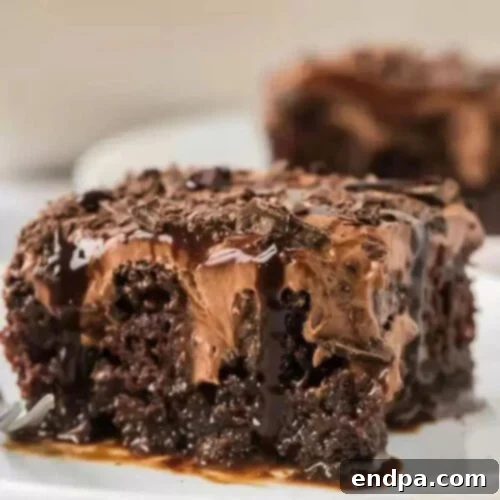 Cake Mix Magic: Easy Poke Cake Creations 11 Chocolate Poke Cake