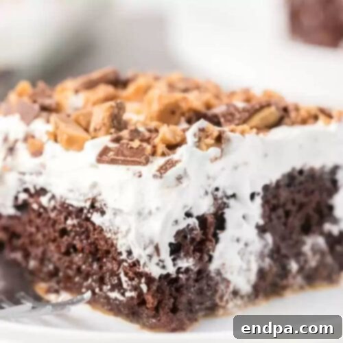 Cake Mix Magic: Easy Poke Cake Creations 12 Better Than Sex Cake