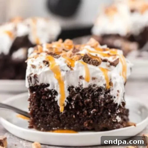 Slow Cooker Chocolate Delights: Crowd-Pleasing Recipes 6 Slice of better than sex cake on a white plate